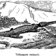 Illustration for article titled Strange 19th Century Drawings of Dinosaurs and Other Extinct Animals